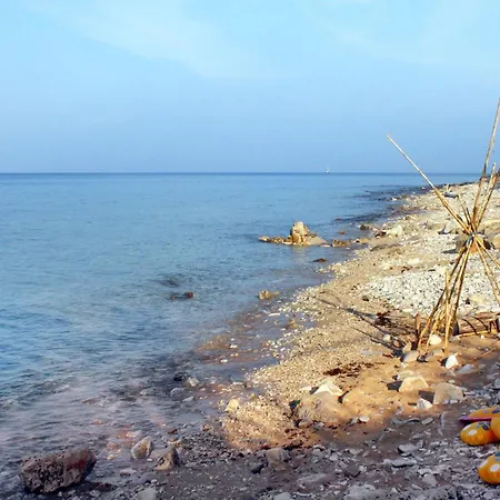 With Wifi Mareda, Novigrad - 27944 Apartman Mareda