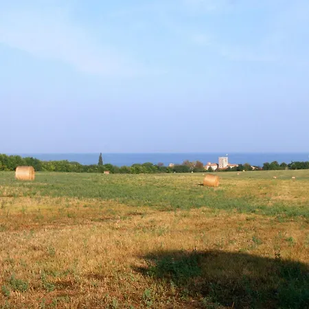 With Wifi Mareda, Novigrad - 27944 Mareda